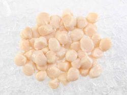 Product Image: Fulton's Finest Wild Colossal Dry Sea Scallops - 1lb