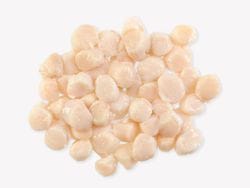 Product Image: Fulton's Finest Wild Colossal Dry Sea Scallops - 1lb